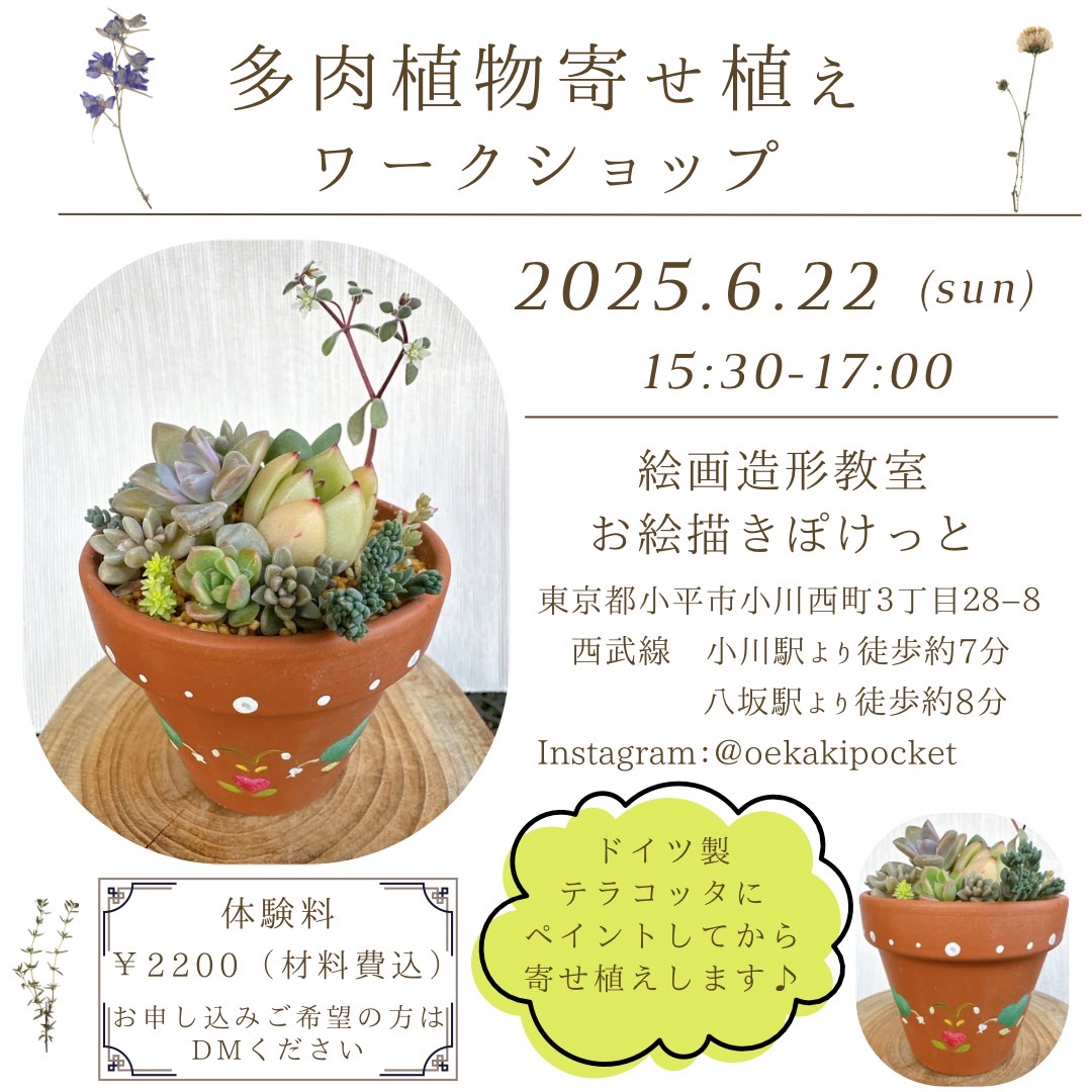 多肉植物の寄せ植えイベント6/22(sun) 募集中 | 絵画造形教室 お絵描き